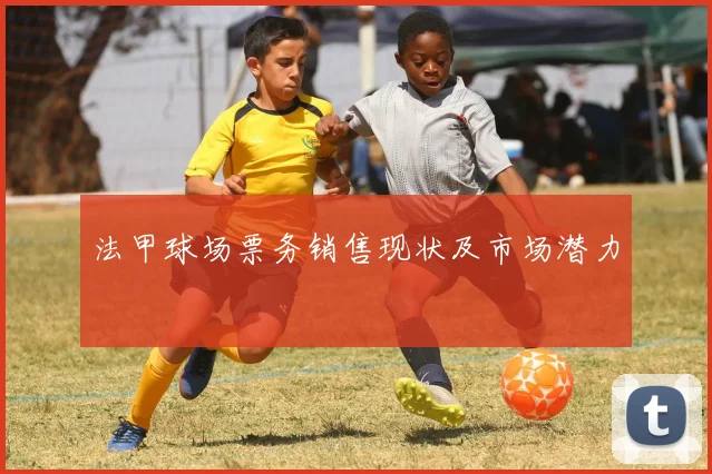法甲球场票务销售现状及市场潜力