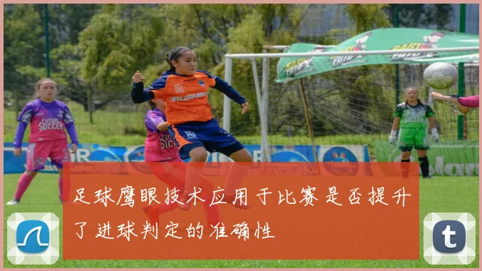 足球鹰眼技术应用于比赛是否提升了进球判定的准确性