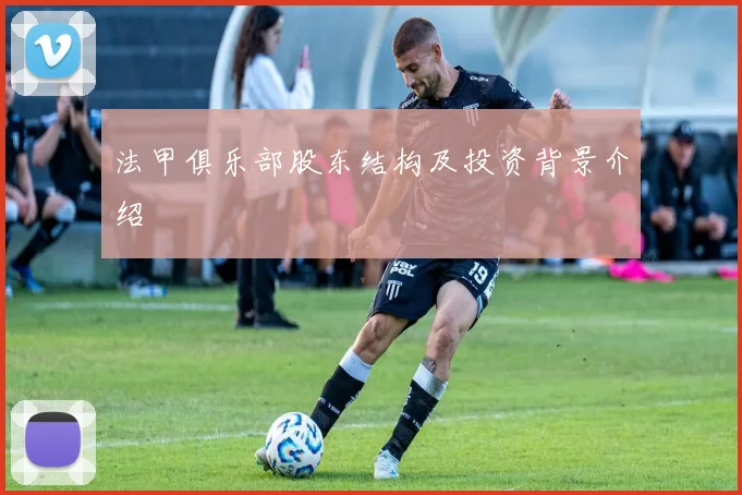 法甲俱乐部股东结构及投资背景介绍