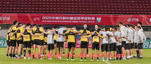 星空体育-意甲球队高层感染全家事件回顾与应对措施